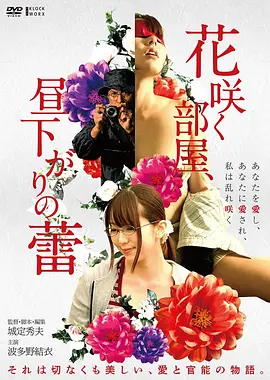 数据校准资讯配图，片种movie